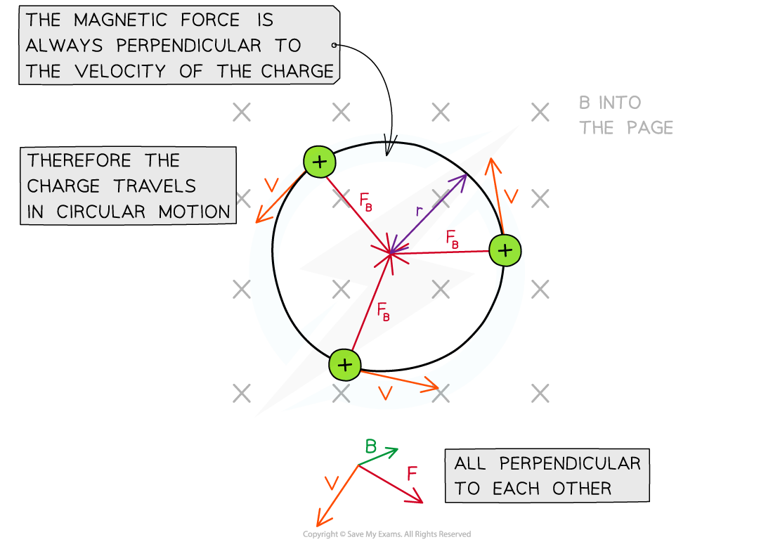 Magnetic Force On A Charge (5.4.2) | DP IB Physics: HL Revision Notes ...