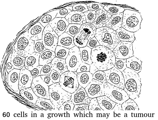 topic-1-cell-biology-paper-1-questions