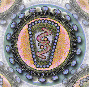 Image: public domain, Los Alamos National Laboratory