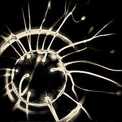Image CC on Flickr by Giulio Callegaro
