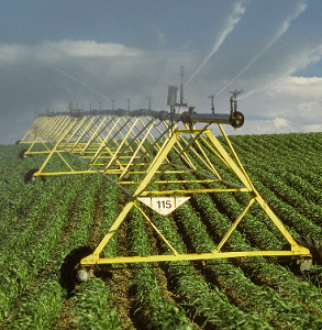 https://www.thebalance.com/farm-subsidies-4173885