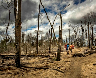 https://www.mining.com/peru-to-penalize-illegal-gold-mining-with-up-to-12-years-in-prison/