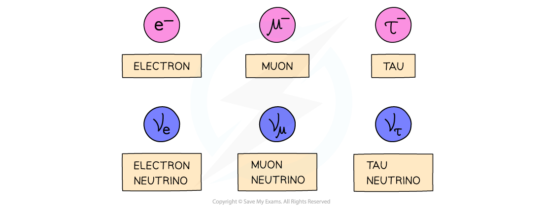 Leptons, downloadable AS & A Level Physics revision notes