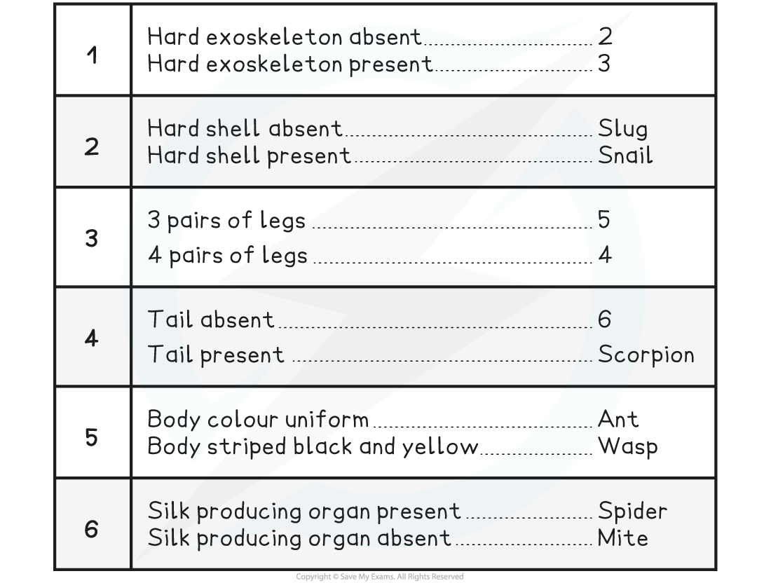 Dichotomous-Key-Example-table, downloadable IB Biology revision notes